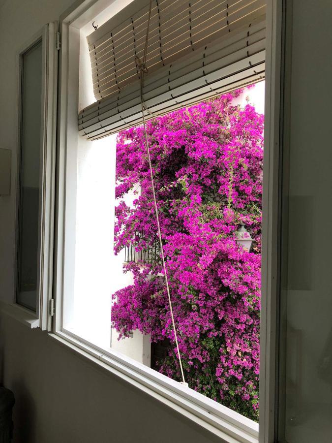 Centric Townhouse Cadaques - Casa Voltes - Villa Екстериор снимка